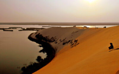 Faisabilité touristique : Développement durable à l’oasis Al Asfar : Al Hasa (SA)